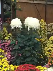 彌彦神社の建物その他