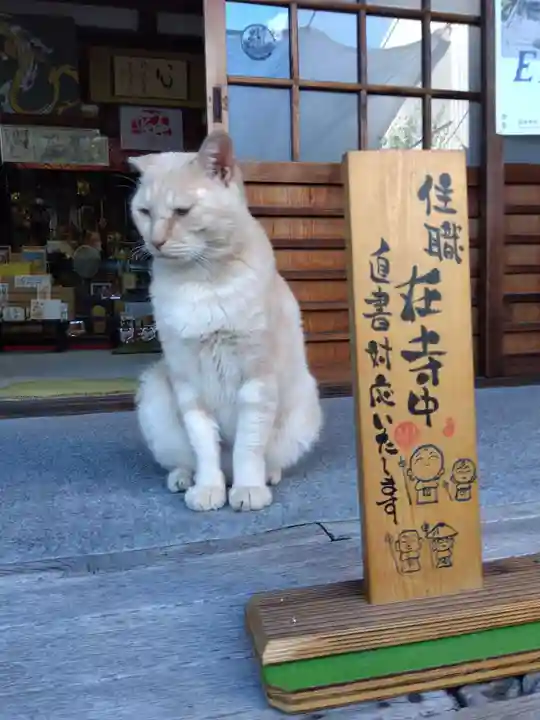 宗龍寺(愛知県)