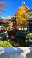 浅草寺(東京都)