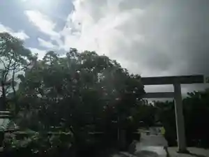 屋久島大社の自然(2023年08月04日(金) 13時26分49秒投稿)