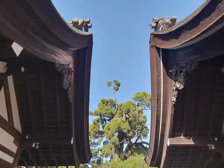 住吉大社(大阪府)