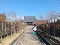 西本徳寺の山門・神門