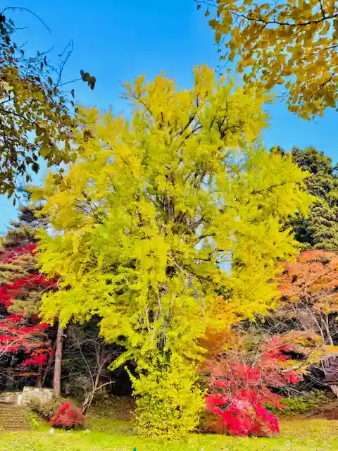 土津神社|こどもと出世の神さま(福島県)