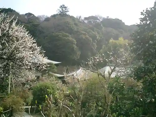 瑞泉寺のその他建物