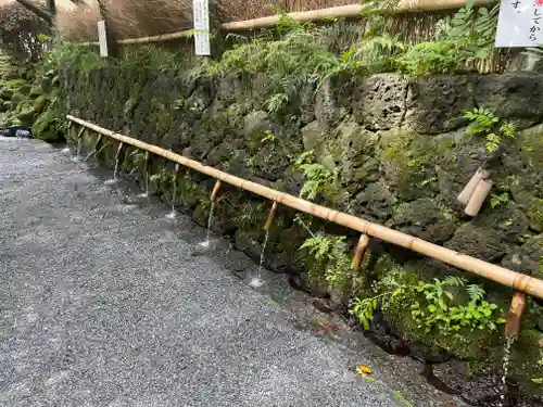 富士山本宮浅間大社(静岡県)