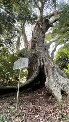 日高見神社(宮城県)