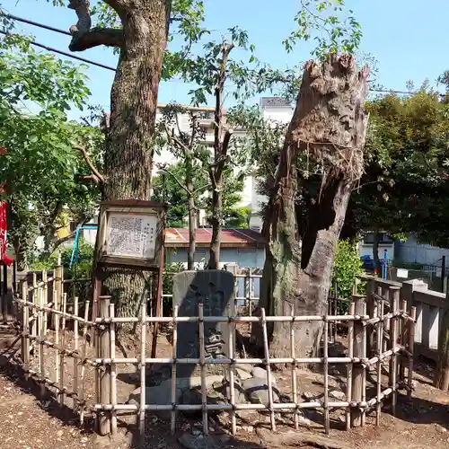 吾嬬神社の自然