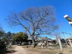 島田八坂神社(栃木県)