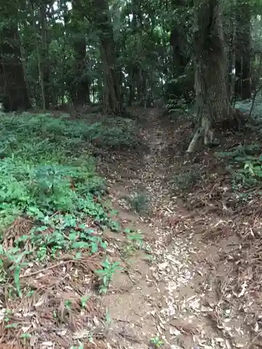 阿弥神社の自然