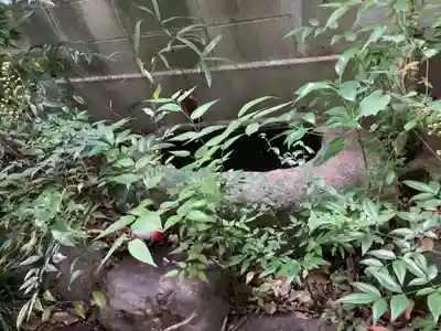 御手洗宮の手水舎