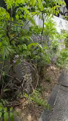 尊陽院(京都府)