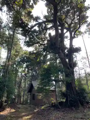 愛宕神社のその他建物
