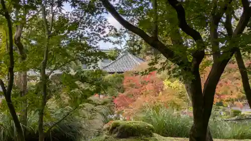 禅林寺（永観堂）(京都府)
