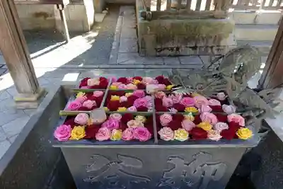 柳谷観音 楊谷寺の手水舎