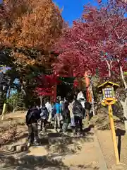 新倉富士浅間神社(山梨県)