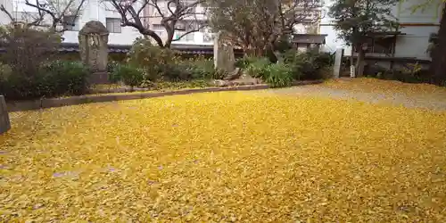 二日市八幡宮の自然