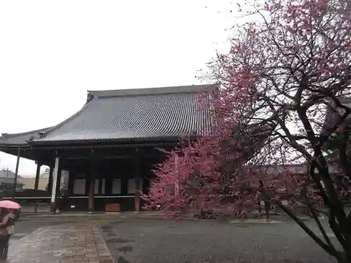 興正寺の本殿・本堂