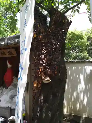 源覚寺(東京都)