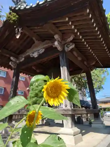 徳林寺(埼玉県)