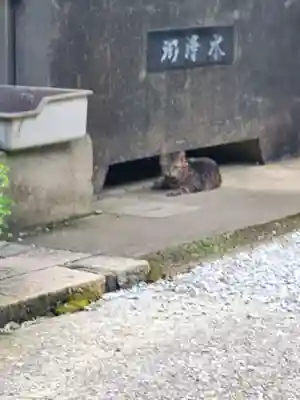傑岑寺(栃木県)