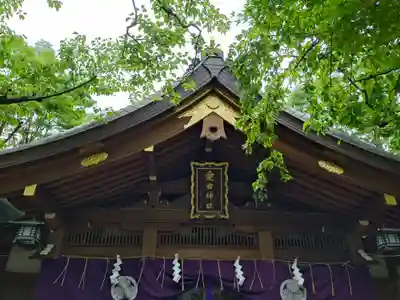 愛宕神社の本殿・本堂