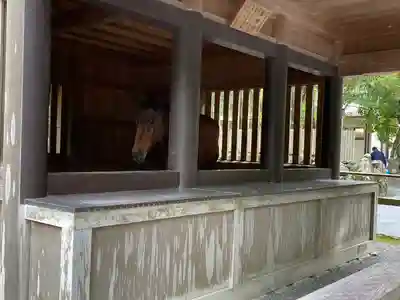 伊勢神宮内宮（皇大神宮）(三重県)