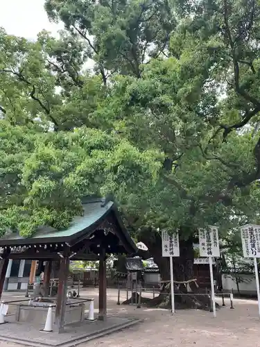 大聖観音寺（あびこ観音）(大阪府)