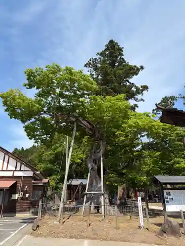 新宮熊野神社の御朱印