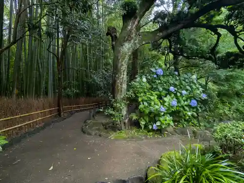 報国寺(神奈川県)