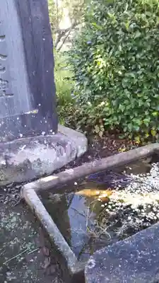 諏訪神社のその他建物