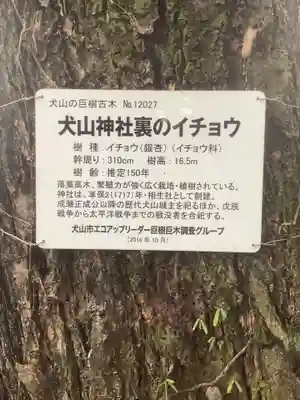 犬山神社のその他建物