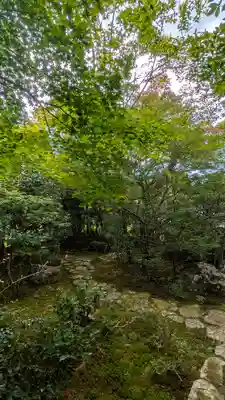 桂徳院(京都府)