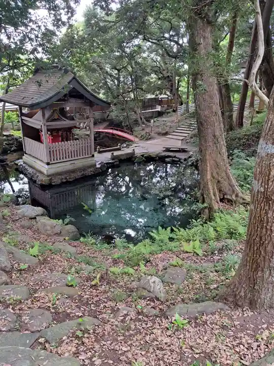 泉神社(茨城県)