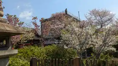 六孫王神社(京都府)