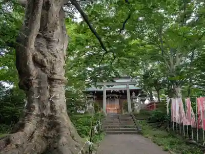 愛宕神社(福島県)