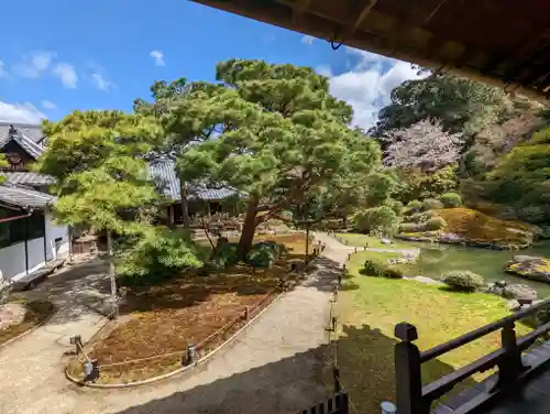 青蓮院門跡(京都府)