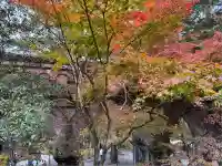 南禅院(京都府)