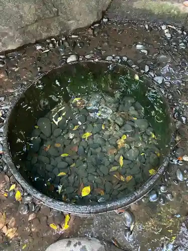 明治神宮(東京都)