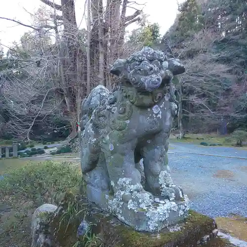 正法寺の狛犬