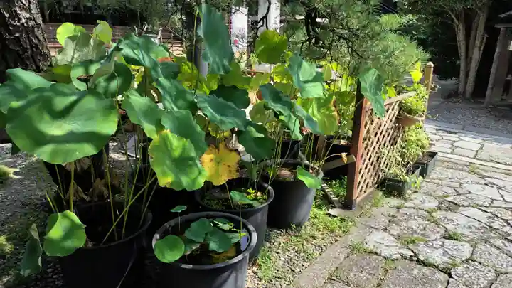 行願寺(革堂)(京都府)