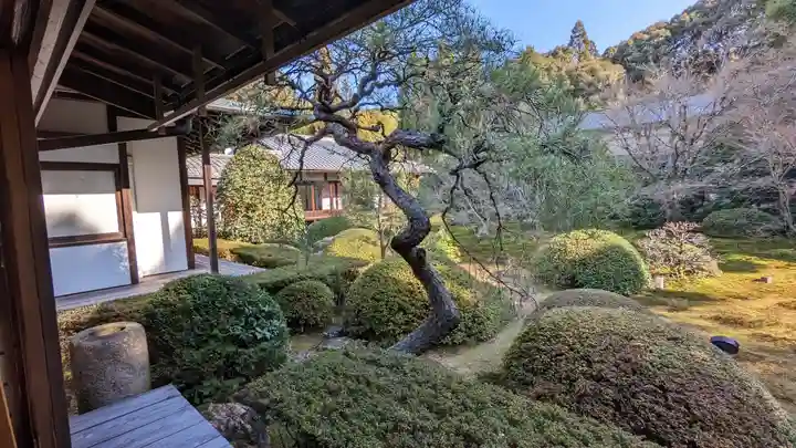 雲龍院(京都府)