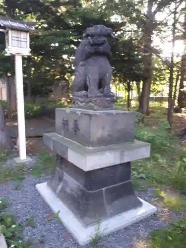 新琴似神社の狛犬