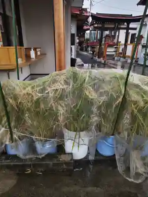 大鏑神社(福島県)