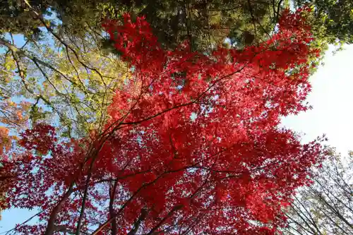 豊景神社の庭園