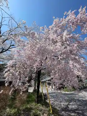 華厳寺(岐阜県)