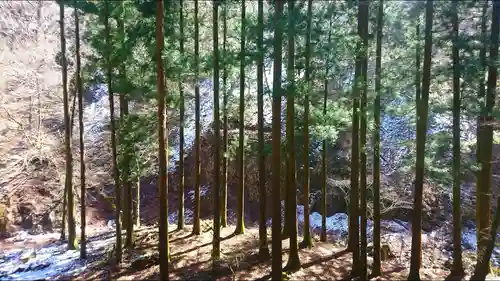 榛名神社の自然