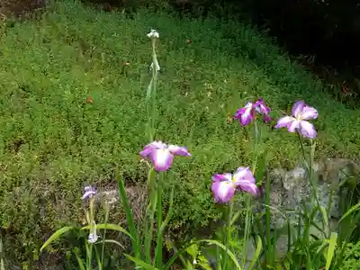 烏帽子山八幡宮の自然