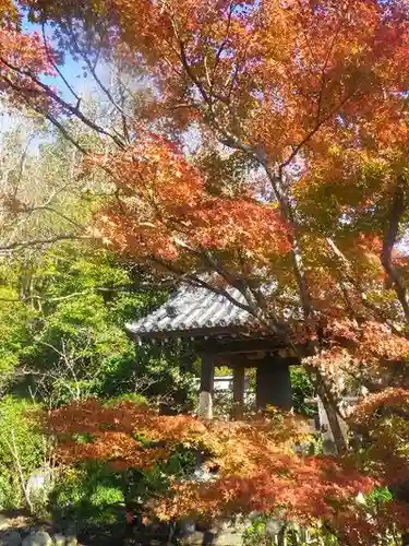 浄光明寺の自然