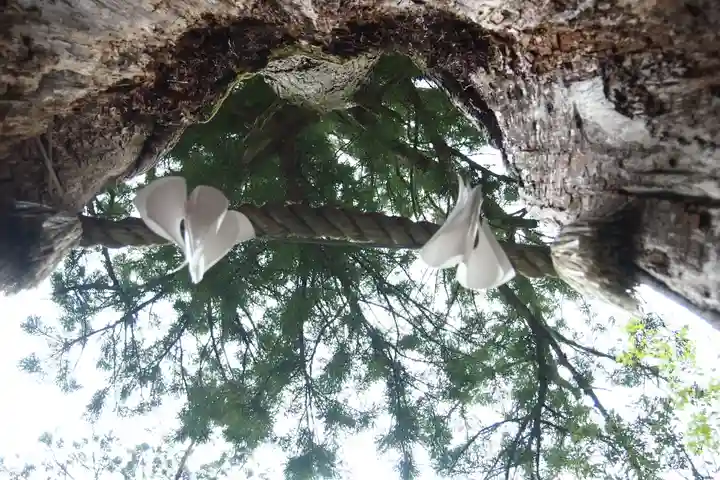 丹生川上神社(中社)(奈良県)