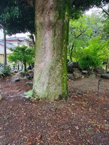 小舟神社(群馬県)